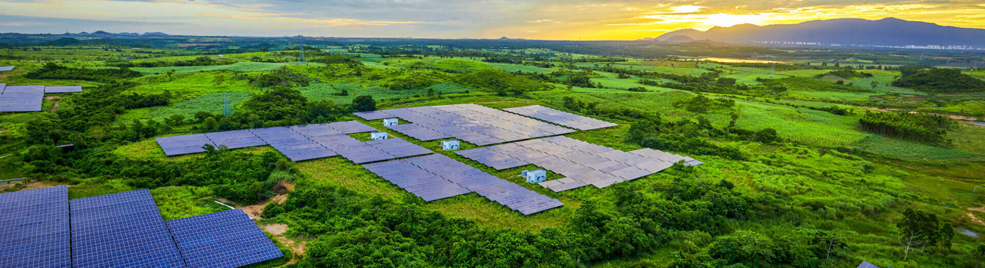 Solar Photovoltaic Panel Base Surrounded By Aerial Green Plants